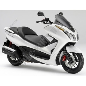 250 FORZA 2013 NSS250AD
