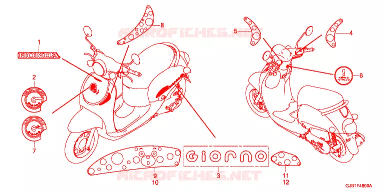 EMBLEMA/FAIXA Honda SCOOTER 50 GIORNO 2020  NCW50J