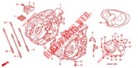 CARTER/BOMBA OLEO para Honda SPORTRAX 300 EX standard 2001