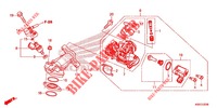 CORPO ACELERADOR para Honda SCOOPY 110 URBAN 2020