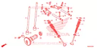 ARVORE CAMES/VALVULA para Honda FOURTRAX 520 RUBICON 4X4 EPS CAMO 2020