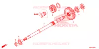 VEIO FINAL para Honda FOURTRAX 520 RUBICON 4X4 EPS CAMO 2020