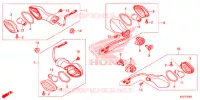 PISCA (CRF250L/LA) para Honda CRF 250 L 2020