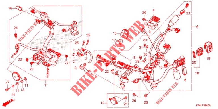 CABLAGEM  (FS150FL/M,FS150FAL/M) para Honda WINNER 150 V3 Race 2021