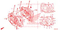 CARTER para Honda FOURTRAX 520 FOREMAN RUBICON 4X4 EPS 2021