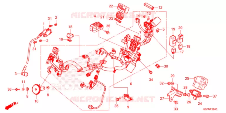 CABLAGEM Honda MOTO 125 MONKEY 2022  Z125MAN