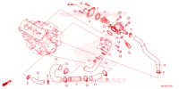 TERMOSTATO para Honda CB 1000 R 2023