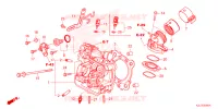 CILINDRO/CABECA MOTOR para Honda ADV 350 WITHOUT TOP CASE 2023
