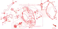 TAMPA CARTER DIREITA/BOMBA AGUA para Honda ADV 350 WITHOUT TOP CASE 2023