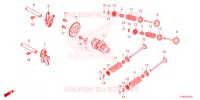 ARVORE CAMES/VALVULA para Honda FORZA 250 ABS TOP CASE 2023