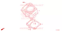 BOMBA PRINCIPAL TRASEIRA  para Honda CRF 250 RALLY 2024