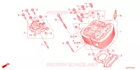 CABECA FRENTE MOTOR para Honda SHADOW VT 750 AERO ABS 2023