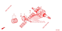 CAMBOTA/PISTAO para Honda ZOOMER 110 X 2020