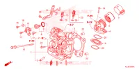 CABECA MOTOR para Honda ADV 350 ROADSYNC 2023
