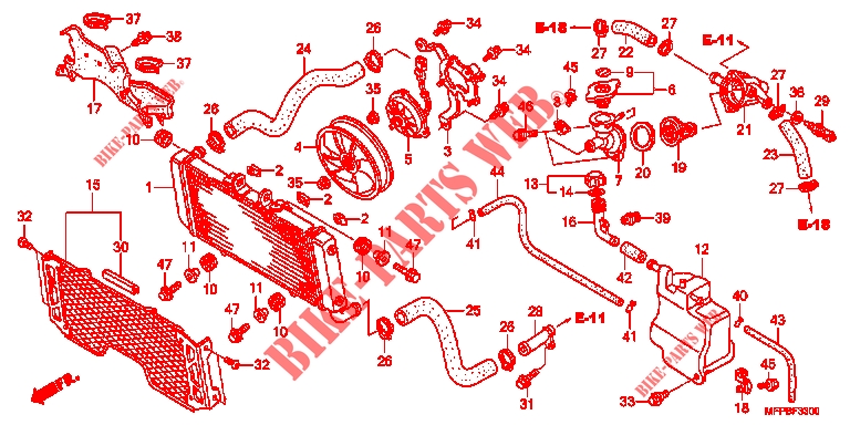     RADIATEUR (CB1300/S) para Honda CB 1300 SUPER FOUR GOLDEN RIMS 2011
