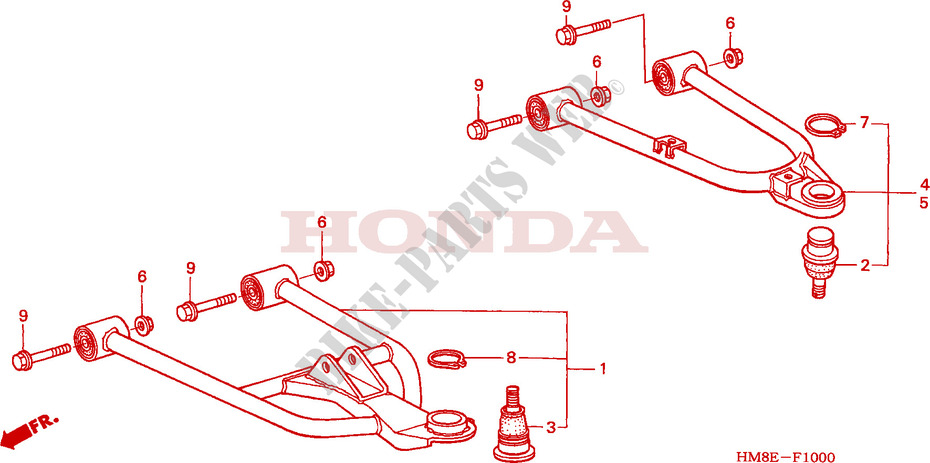 BRAqO FRENTE para Honda TRX 250 FOURTRAX RECON Standard 2002