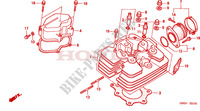 CABECA MOTOR para Honda FOURTRAX 450 FOREMAN 4X4 Electric Shift 2001