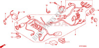 CABLAGEM  para Honda CBR 125 REPSOL 2005