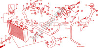 RADIADOR  para Honda CBR 125 TRICOLOR 2010