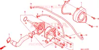 BOMBA AGUA para Honda CBR 600 1998