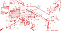RADIADOR(D.) (VTR1000SP2/3/4/5/6) para Honda VTR 1000 SP2 100CV 2002