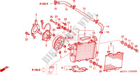 RADIADOR(E.) (VTR1000SP2/3/4/5/6) para Honda VTR 1000 SP2 2005