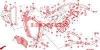 RADIADOR  para Honda CBR 1000 RR FIREBLADE HRC 2007