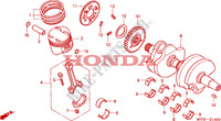 CAMBOTA/PISTAO para Honda CB 500 S 34HP 2002