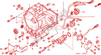 TAMPA CARTER TRASEIRA para Honda TRX 250 FOURTRAX RECON Standard 2006