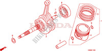 CAMBOTA para Honda TRX SPORTRAX 250 X 2011