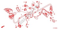 CABLAGEM (1) para Honda ACE 125 CASTED WHEELS 2012