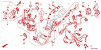 CABLAGEM (NSC50WHC/MPDC) para Honda VISION 50 2012