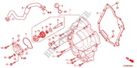 TAMPA CARTER DIREITA/BOMBA AGUA para Honda SH 300 2012