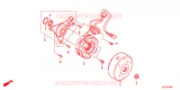 ALTERNADOR (CRF100F) para Honda CRF 100 2013
