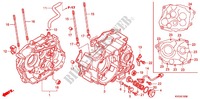 CARTER (GLH1251SH/2SH/3SH) para Honda STORM 125 FRONT BRAKE DRUM 2008