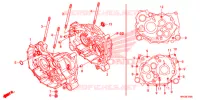 CARTER/BOMBA OLEO para Honda FOURTRAX 500 FOREMAN 4X4 Electric Shift 2015