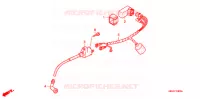 CABLAGEM/BATERIA para Honda CRF 50 2008