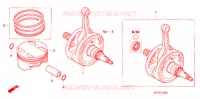 CAMBOTA/PISTAO para Honda TRX 450 R Kick start 2007