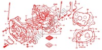 CARTER/BOMBA OLEO para Honda FOURTRAX 500 FOREMAN 4X4 Electric Shift, Power Steering 2009