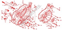 TAMPA CARTER TRASEIRA para Honda FOURTRAX 500 FOREMAN 4X4 Electric Shift, Power Steering 2009