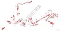 PEDAL para Honda CBR 250 R ABS TRICOLORE 2012