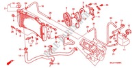 RADIADOR (CBR900RR'00,'01/RE'01) para Honda CBR 929 RR 2001