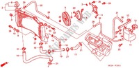 RADIADOR (CBR900RR'02,'03) para Honda CBR 954 RR 2002