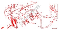 RADIADOR (FJS400A/D/FJS600A/D5 8) para Honda SILVER WING 400 ABS 2007