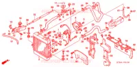 RADIADOR para Honda BIG RUCKUS 250 2005