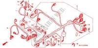 CABLAGEM (AVANT) para Honda RVT 1000 R RC51 2001