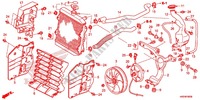 RADIADOR para Honda FOURTRAX 420 RANCHER 4X4 Manual Shift 2014