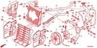 RADIADOR para Honda FOURTRAX 500 FOREMAN 4X4 Power Steering, CAMO 2014