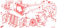 RADIADOR para Honda FOURTRAX 520 FOREMAN RUBICON 4X4 AT DCT EPS DELUXE 2020